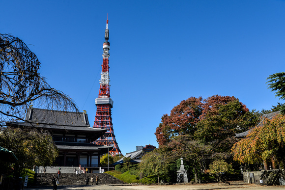 Zojo-ji temple with Tokyo Tower