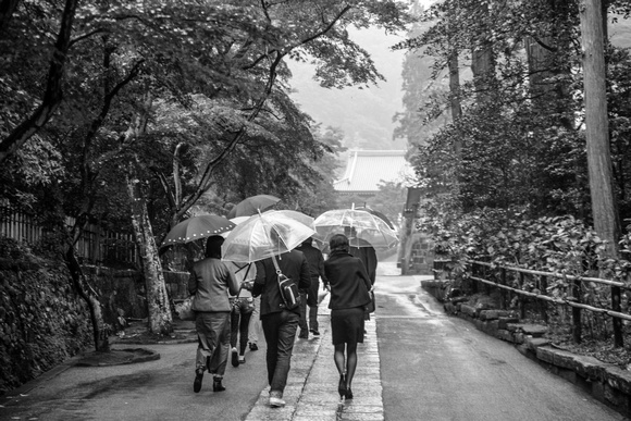 Rainy day in Kamakura
