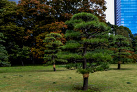 Kokyo Gaien National Garden
