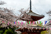 Pagoda and blossom