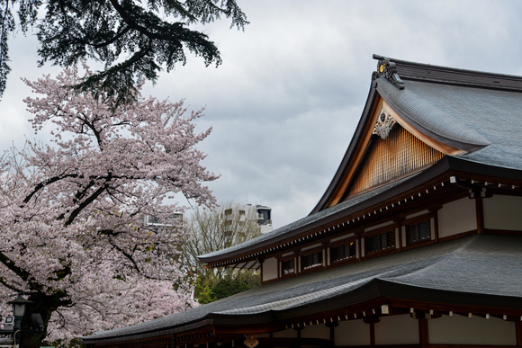 Yasukuni Shrine in Spring