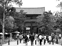 Tourists flocking to the famous Todai-ji Temple