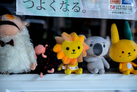 Stuffed Animal window display