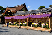 Flower display at Nijo-jo