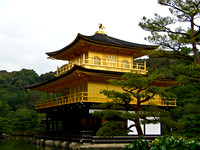 Kinkakuji - Golden Shrine