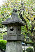 A stone lantern at Gotokuji