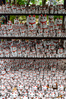 Shelves of White Cat Statues