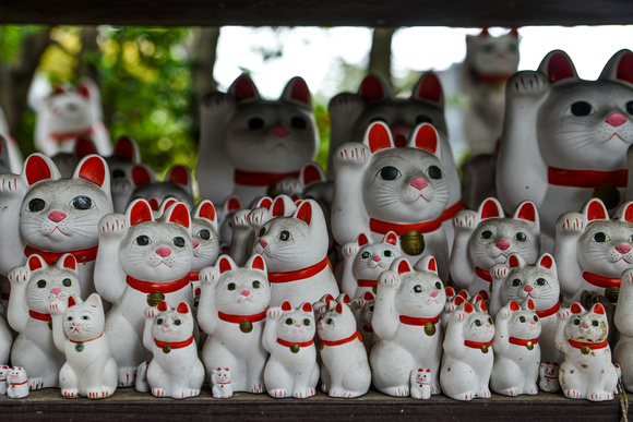 The beckoning cats of Gotokuji