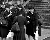 A schoolgirl gathering