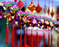 2013 Chinese New Year Flower Market Fair