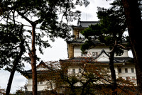 Odawara Castle (小田原城)