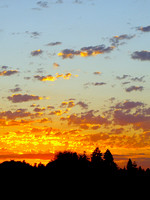 A Petaluma Sunset