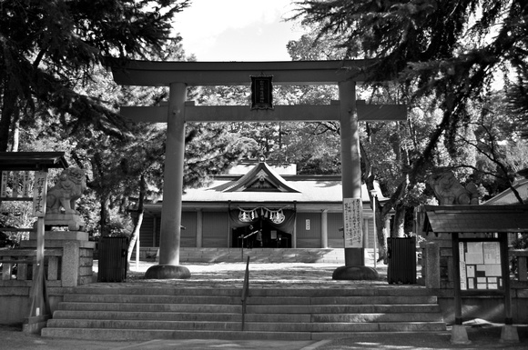 Tori and Entrance to Shrine