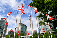 Candian Flags