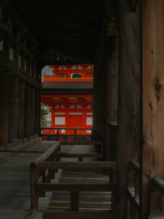 Peeking at the Pagoda