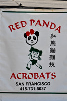 Red Panda Acrobats