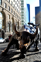 Financial District Bull