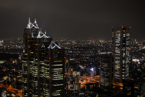 View from Tokyo Metropolitan Government Building