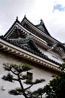 Upward view of Wakayama Castle