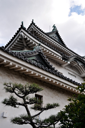 Upward view of Wakayama Castle