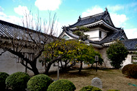 Inui Turret and garden