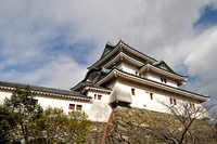 Wakayama Castle in January