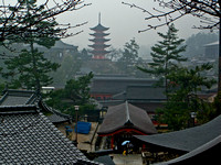 Rain and Shrine