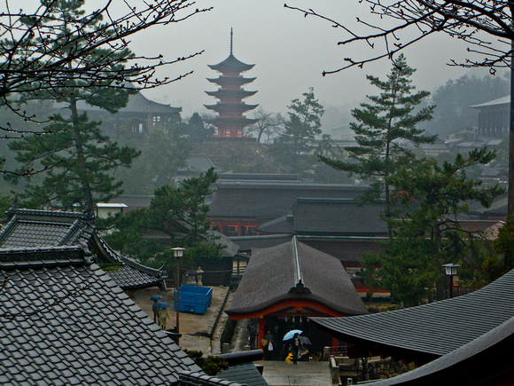 Rain and Shrine