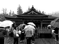 Rainy day at Itsukushima-jinja