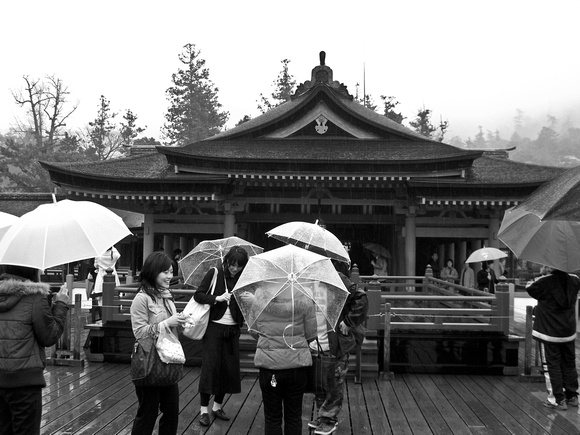 Rainy day at Itsukushima-jinja