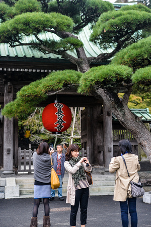 Photo sessions at Hase-dera