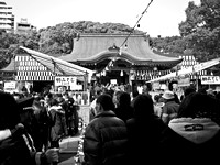 Enter Ikuta Shrine