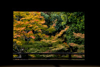 Tenryū-ji (天龍寺) - Arashiyama, Kyoto