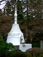 At Ryoanji Shrine