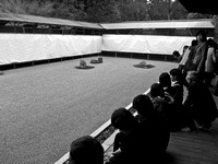 Contemplation at Ryoan-ji