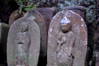 Cemetery of Jochi-ji