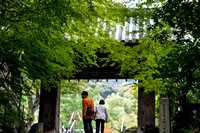 Entrance of Kodai-ji