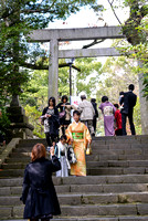 Steps and Torii to Hotoku Ninomiya Jinja
