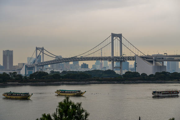 Rainbow Bridge and Tokyo Bay