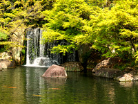 Japanese Gardens (All)