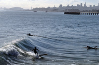 Surfing in the Bay