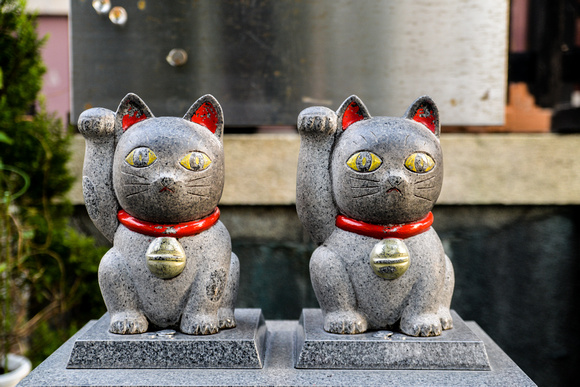 Pair of beckoning cat's at Imado-Jinja