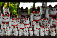 The beckoning cats of Gotokuji