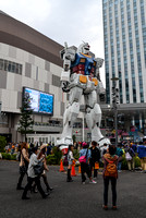 Crowed surrounds the RX-78-2 Gundam